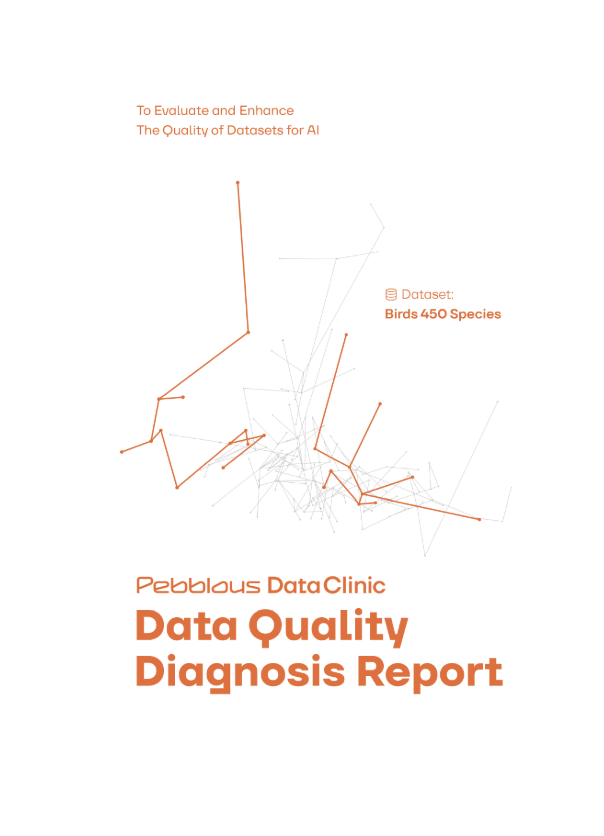 AI Dataset Quality Diagnostic Report